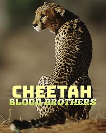 Watch Cheetah Blood Brothers