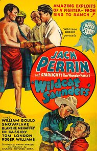 Watch Wildcat Saunders