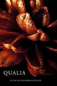 Watch Qualia (Short 2011)