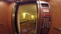 Watch The Elevator