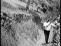 Watch Fish (Short 1916)