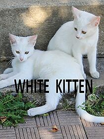 Watch La gatita blanca (Short 1905)