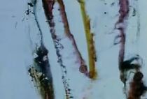 Watch Persian Series #7 (Short 2000)