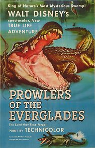 Watch Prowlers of the Everglades (Short 1953)