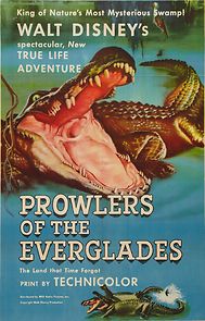 Watch Prowlers of the Everglades (Short 1953)