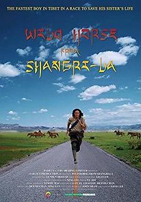 Watch Wild Horse from Shangri-La