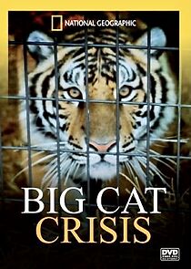 Watch Big Cat Crisis