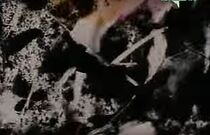 Watch Persian Series #15 (Short 2001)