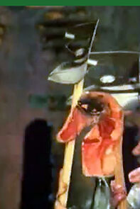 Watch Ravnovesie (Short 1981)