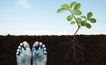 Watch Soil (Short 2005)