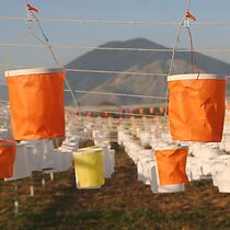 Watch The Balloonists: Brazil's Underground Folk Artists