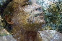 Watch Patience... (Short 2006)