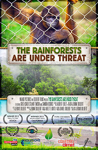 Watch The Rainforests Are Under Threat