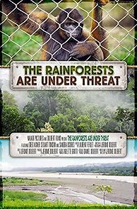 Watch The Rainforests Are Under Threat