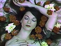 Watch Possibly in Michigan