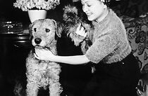 Watch Mädchen für alles