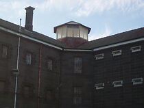 Watch Monkeys in Heaven (Short 2013)