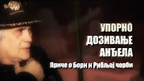 Watch Uporno Dozivanje Andjela