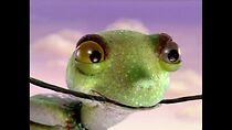Watch A Love Story of a Frog (TV Short 2005)