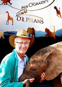 Watch Paul O'Grady's Animal Orphans