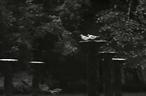 Watch Cuentos de Hadas (Short 2009)