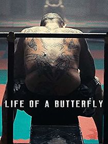 Watch Life of a Butterfly