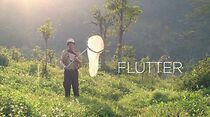 Watch Flutter (Short 2012)