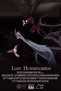 Watch Lost Hummingbirds