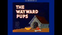 Watch The Wayward Pups (Short 1937)