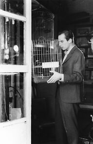 Watch I Niovi horeve ti zoi tis