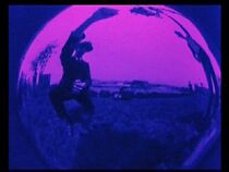 Watch Looney Lens: Pas de deux (Short 1924)