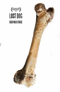 Watch Lost Dog (Short 2015)