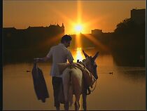 Watch Wag the Dogma (Short 2001)