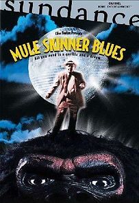 Watch Mule Skinner Blues