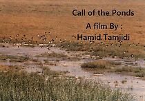 Watch Call of the Pond (Short 1986)