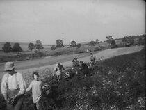 Watch Prix et profits, la pomme de terre (Short 1932)