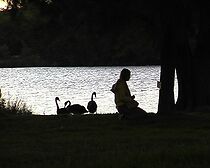 Watch A Touch of Courage: The Enlightenment