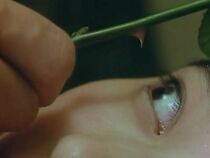 Watch Hanra honban: Joshidaisei bôkô-hen