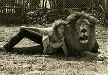 Watch My Lion and Me