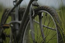 Watch Agora nesse momento (Short)