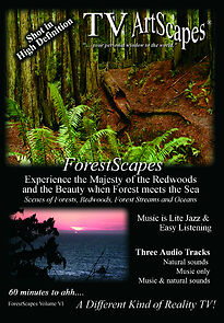 Watch TV ArtScapes: ForestScapes Volume VI