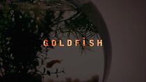 Watch Goldfish (Short 2015)