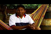 Watch El cartero wayuu