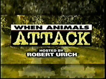 Watch When Animals Attack!