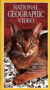 Watch Cats: Caressing the Tiger