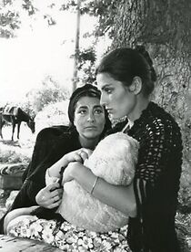 Watch Les tribulations de Manuel