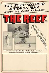 Watch The Reef