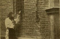 Watch An Unpleasant Dream (Short 1910)