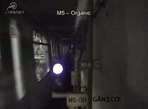 Watch M5 - Orgânico