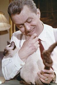 Watch Et knudeproblem (Short 1959)